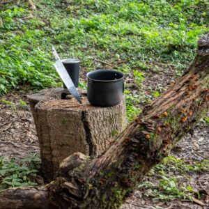 Knife, bowl, and cup on a tree trunk