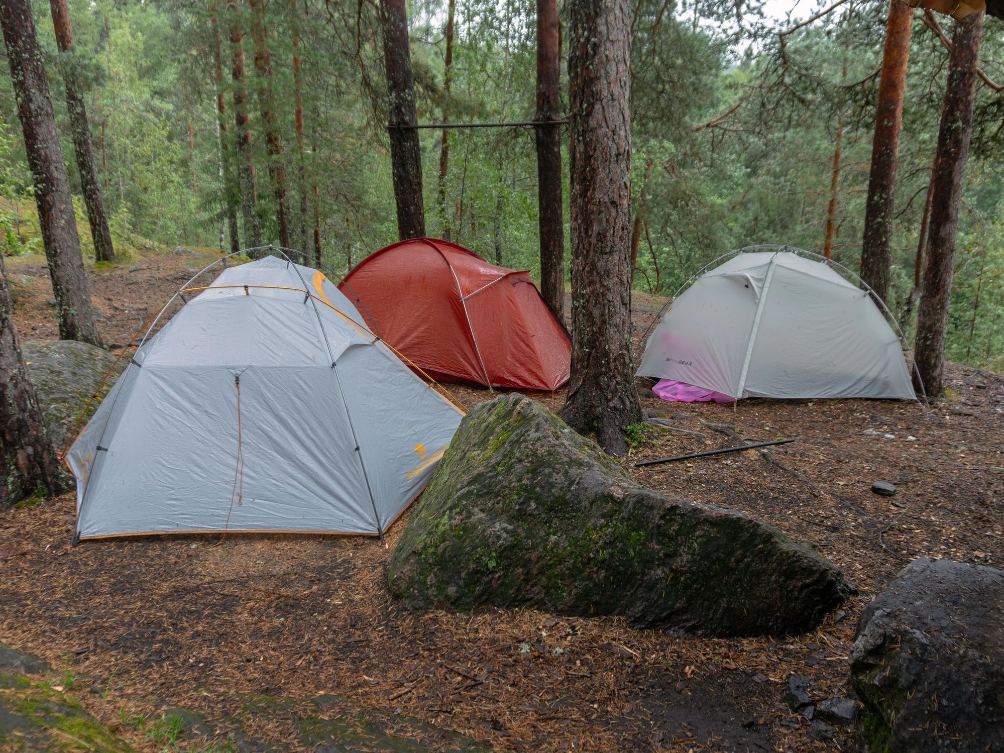 Camping tents set up in a forest during rain